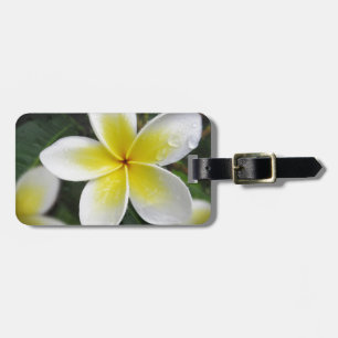 Etiqueta De Bagagem Tag da bagagem do Frangipani e dos pingos de chuva