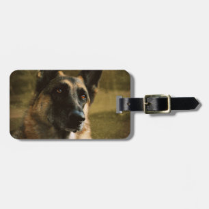 Etiqueta De Bagagem Tag da bagagem do german shepherd