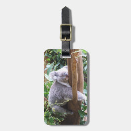 Etiqueta De Bagagem Tag da bagagem do Koala