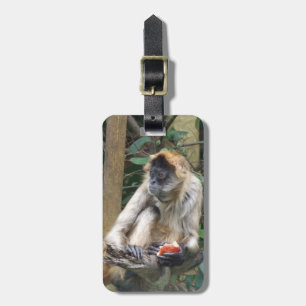 Etiqueta De Bagagem Tag da bagagem do macaco de aranha