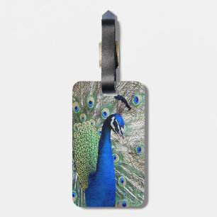 Etiqueta De Bagagem Tag da bagagem do pássaro do pavão