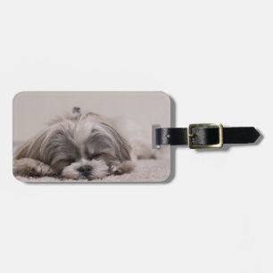 Etiqueta De Bagagem Tag da bagagem do sono do tzu de Shih, cão do son