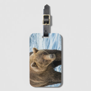 Etiqueta De Bagagem Tag da bagagem do urso 503