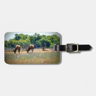 Etiqueta De Bagagem Tag da bagagem dos alces de Bull