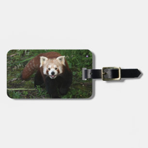 Etiqueta De Bagagem Tag da bagagem - panda vermelha