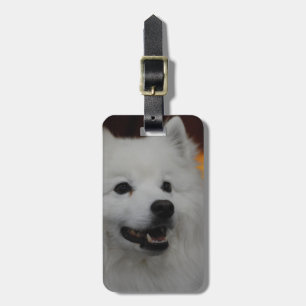 Etiqueta De Bagagem Tag da bagagem - personalizado
