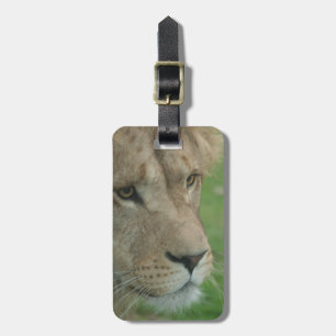 Etiqueta De Bagagem Tag da bagagem - personalizado