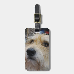 Etiqueta De Bagagem Tag da bagagem - personalizado
