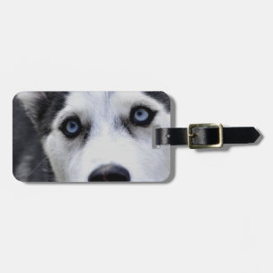 Etiqueta De Bagagem Tag da bagagem - personalizado