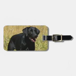 Etiqueta De Bagagem Tag da bagagem - personalizado