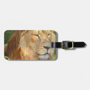 Etiqueta De Bagagem Tag da bagagem - personalizado