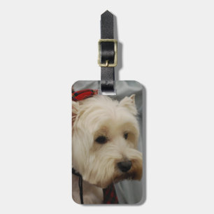 Etiqueta De Bagagem Tag da bagagem - personalizado
