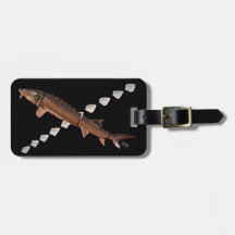 Tag do esturjão de Shortnose & da bagagem de