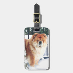 Etiqueta De Bagagem Tag do heARTdog da POSSIBILIDADE & do CHLOE