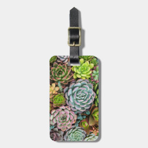 Etiqueta De Bagagem Tag feito sob encomenda da bagagem dos Succulents