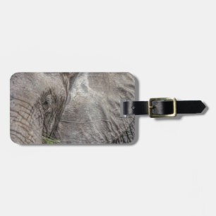 Etiqueta De Bagagem Tag magnífico da bagagem do elefante