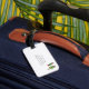 Etiqueta De Bagagem Tag Potted da bagagem do monograma dos Succulents (Back Insitu 3)