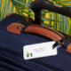 Etiqueta De Bagagem Tag Potted da bagagem do monograma dos Succulents (Back Insitu 1)