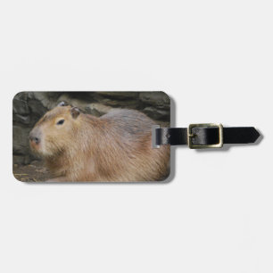 Etiqueta De Bagagem Tag selvagem da bagagem do Capybara