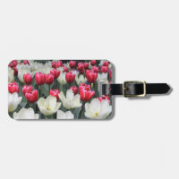 Tag vermelho e branco da bagagem das tulipas