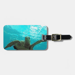 Etiqueta De Bagagem Tartaruga de Havaí Honu