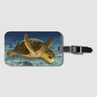 Etiqueta De Bagagem Tartaruga de mar da boba no Tag da bagagem do