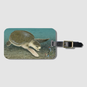 Etiqueta De Bagagem Tartaruga de mar do Ridley de Kemp no Tag da