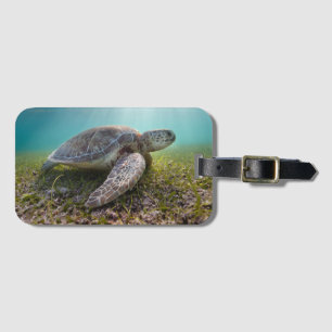 Etiqueta De Bagagem Tartaruga de mar verde na baía do crepúsculo