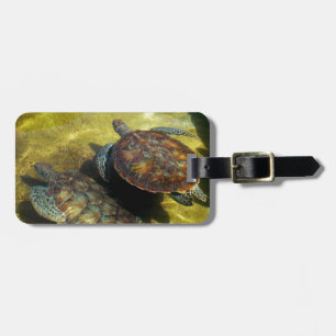 Etiqueta De Bagagem Tartarugas de mar