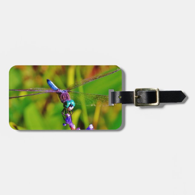 Etiqueta De Bagagem Teal Rainbow Dragonfly (Frente Horizontal)