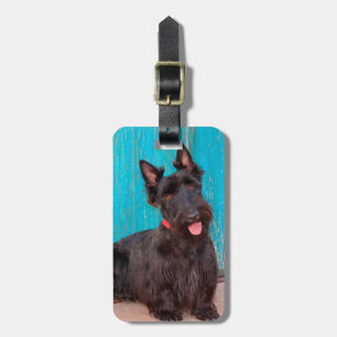 Etiqueta De Bagagem Terrier Escocês sentado ao lado de uma porta color