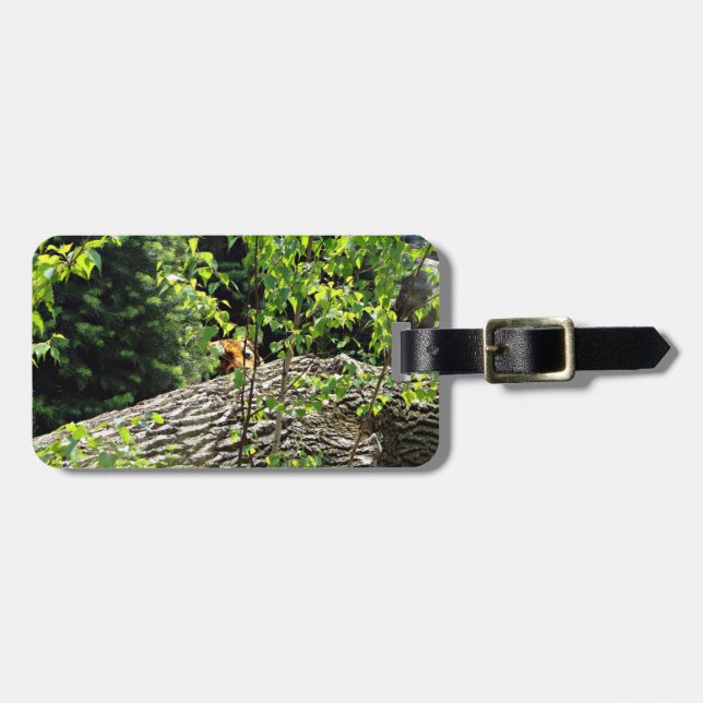 Etiqueta de Bagagem Tiger Peek-a-boo (Frente Horizontal)
