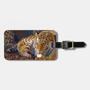 Etiqueta De Bagagem Tigre