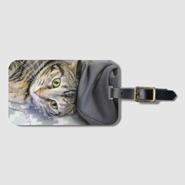 Etiqueta De Bagagem Tigre (Frente Horizontal)