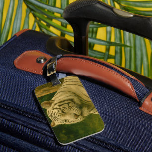 Etiqueta De Bagagem Tigre Branco Descendo em Woodland Shade