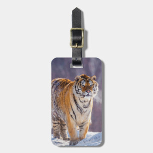 Etiqueta De Bagagem Tigre siberiano na neve, China