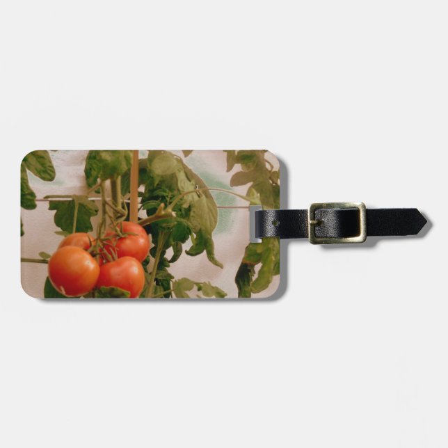 Etiqueta De Bagagem Tomates Na Vinha (Frente Horizontal)