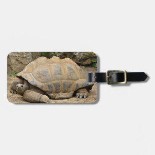 Etiqueta De Bagagem Tortoise Sorridente