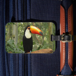 Etiqueta De Bagagem Toucan na ramificação da árvore