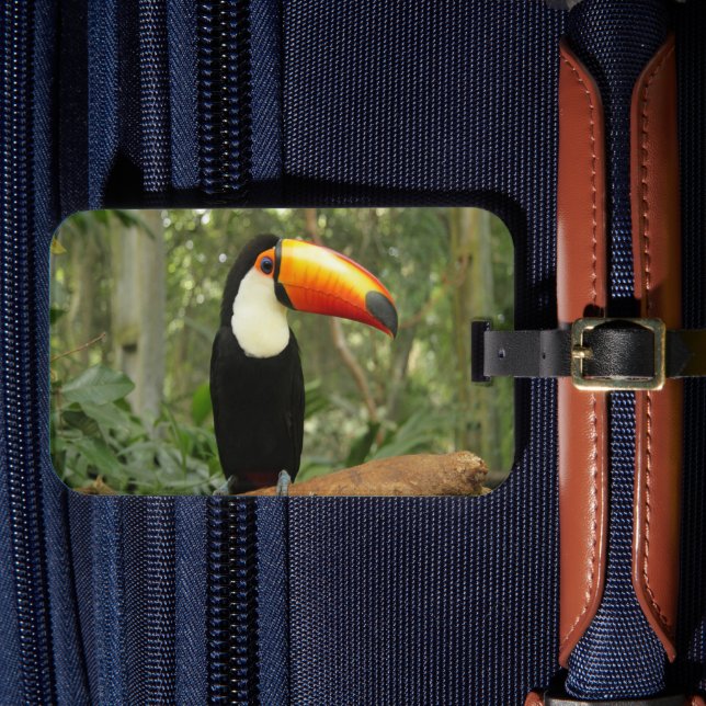 Etiqueta De Bagagem Toucan na ramificação da árvore (Frente Insitu 4)