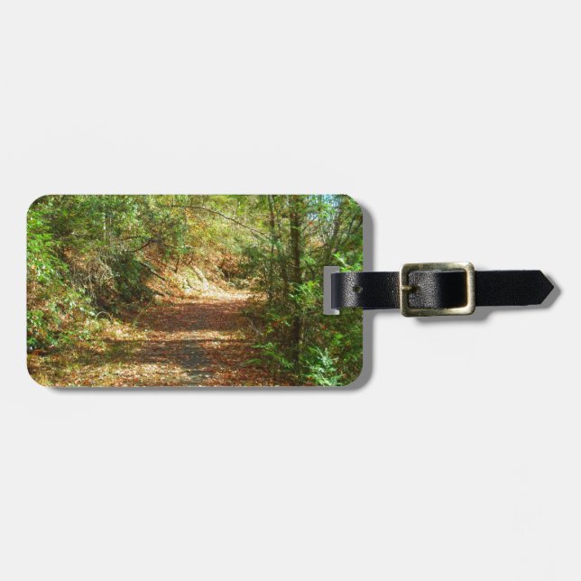 Etiqueta De Bagagem Trilha da Floresta do outono Sunlit (Frente Horizontal)