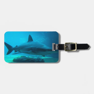 Etiqueta De Bagagem Tubarão-charuto (Carcharhinus Obscurus), Ushaka