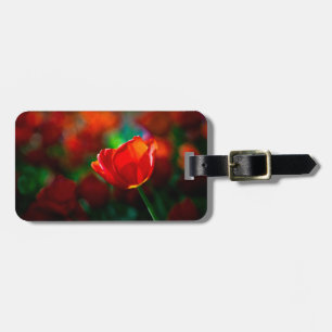 Etiqueta De Bagagem Tulipa vermelha - Mistério de florescência