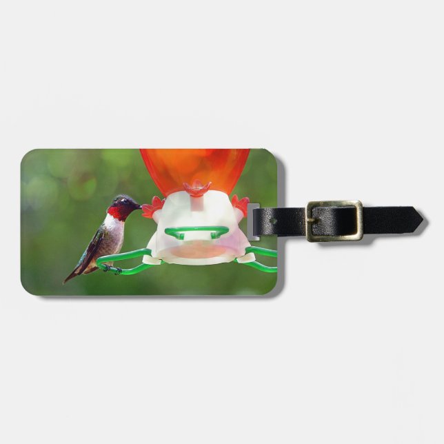 Etiqueta De Bagagem Um beija-flor robusto (Frente Horizontal)