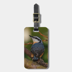 Etiqueta De Bagagem Um Nuthatch Bold De Raça Vermelha