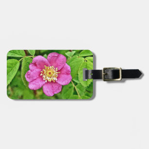 Etiqueta De Bagagem Um Rosa selvagem