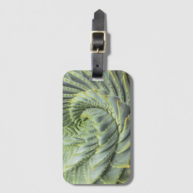 Etiqueta De Bagagem Um Succulent verde & branco (Frente Vertical)