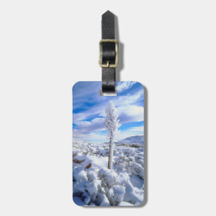 Etiqueta De Bagagem Um yucca coberto de neve