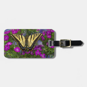 Etiqueta De Bagagem Uma Borboleta Viceroy em Flores Rosa Escuro
