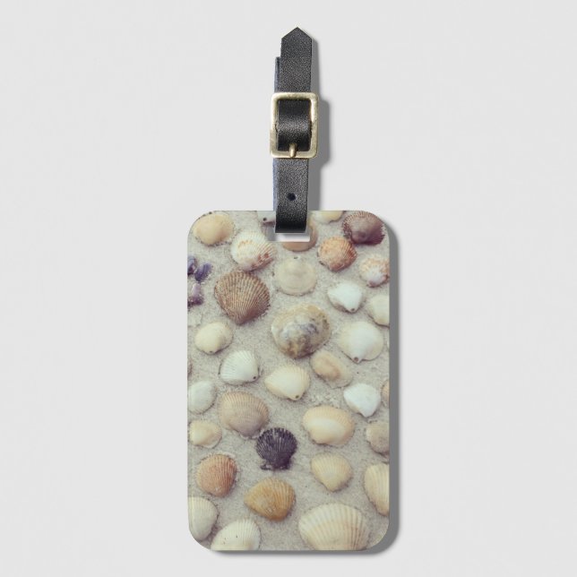 Etiqueta De Bagagem Uma coleção dos Seashells (Frente Vertical)